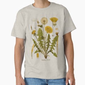 Everyday Select DANDELION Antique botanical illustration Classic T-Shirt - Gift for friend