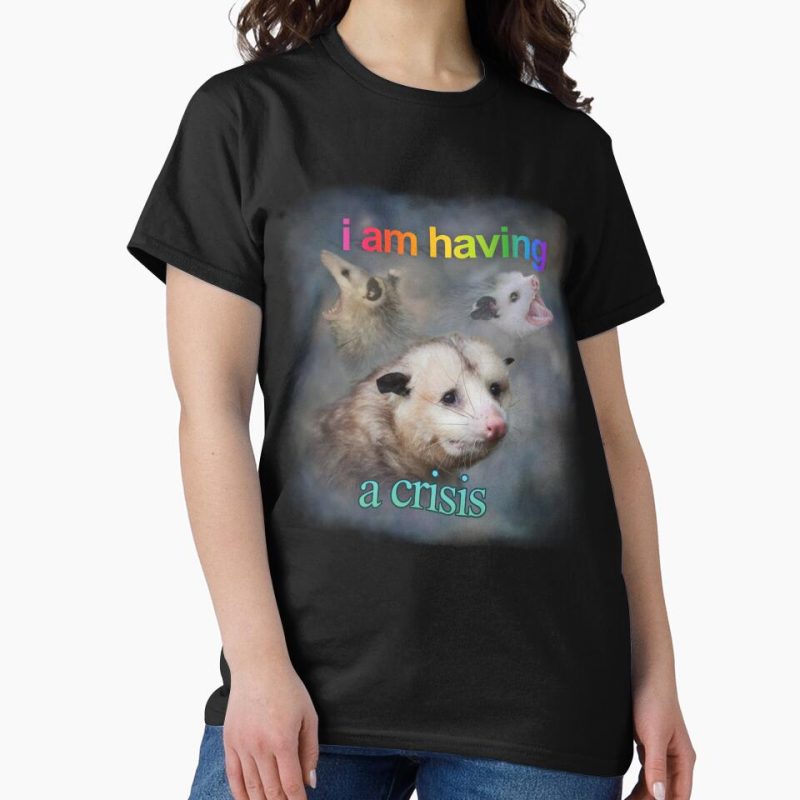 Everyday Select I am having a crisis possum word art Classic T-Shirt - Gift for friend