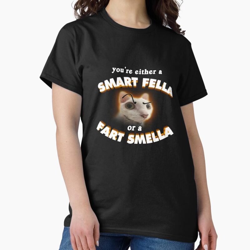 Everyday Select you're a smart fella or a fart smella Classic T-Shirt - Gift for friend